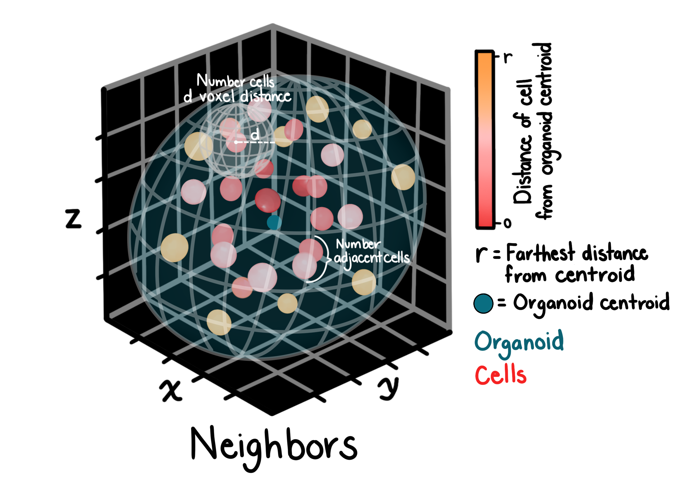 Neighbors features